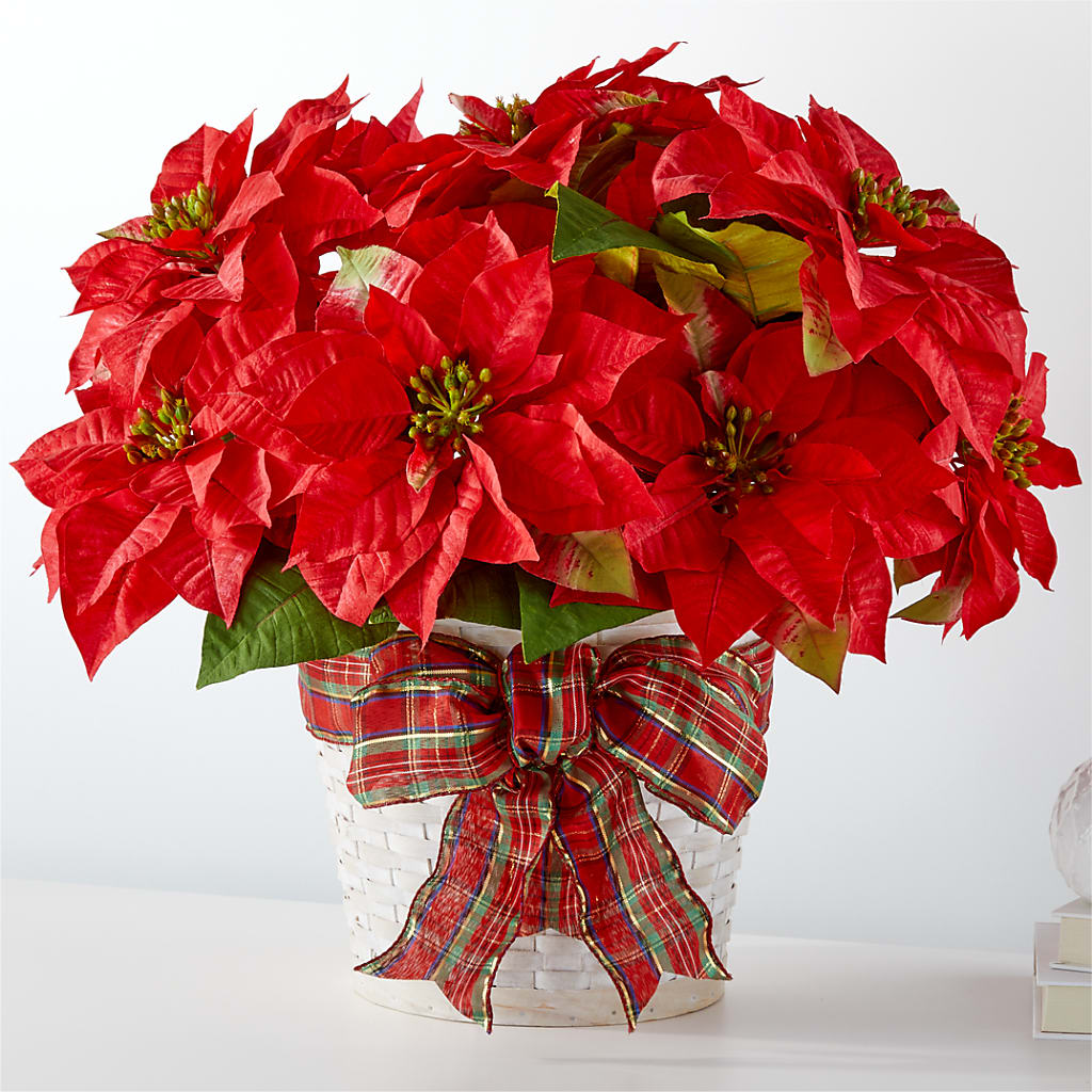 Happiest Holidays Poinsettia – Country Cottage Floral Creations, Conroe TX