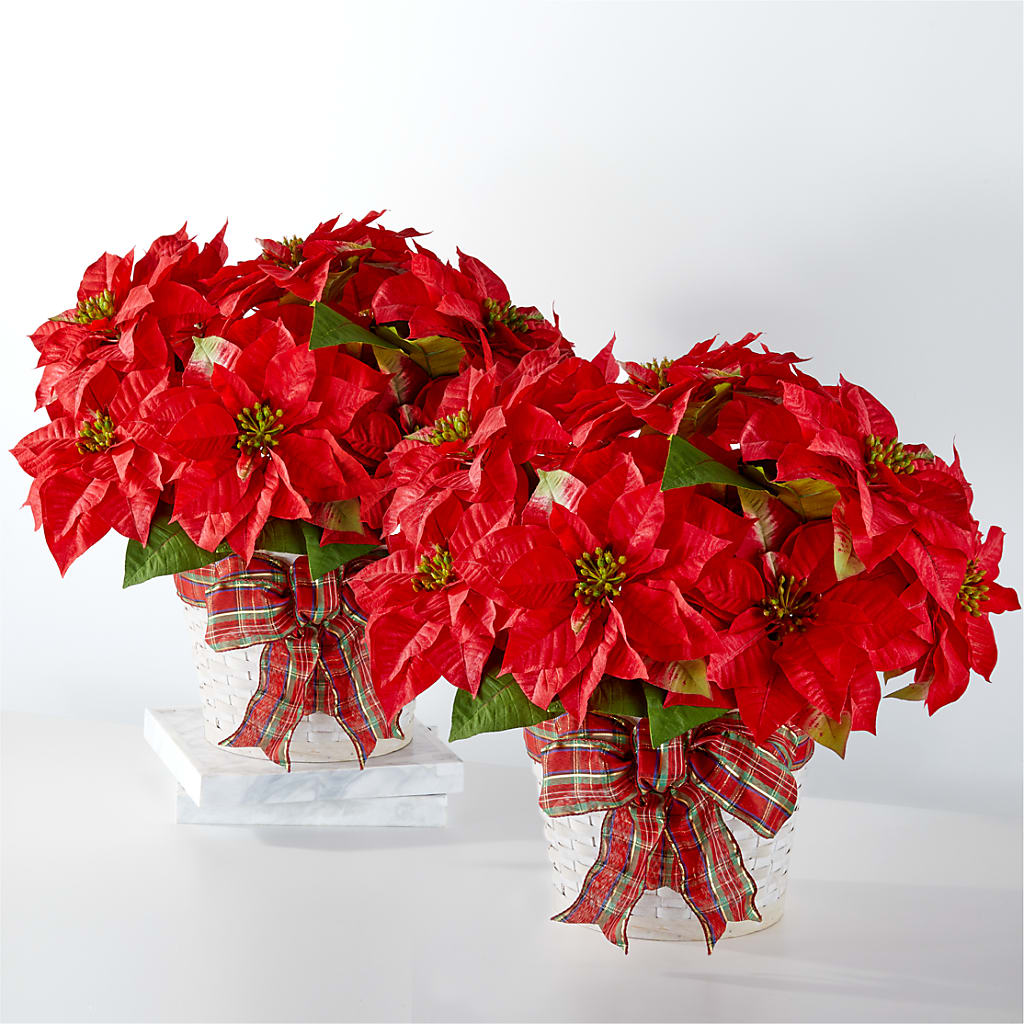 Happiest Holidays Poinsettia Bundle – Country Cottage Floral Creations, Conroe TX