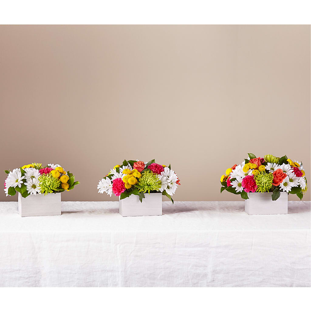 Sorbet Bouquet – Country Cottage Floral Creations, Conroe TX