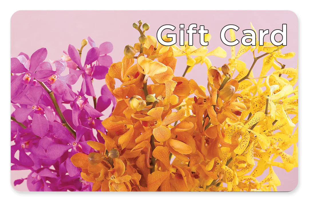 Gift Card – Country Cottage Floral Creations, Conroe TX