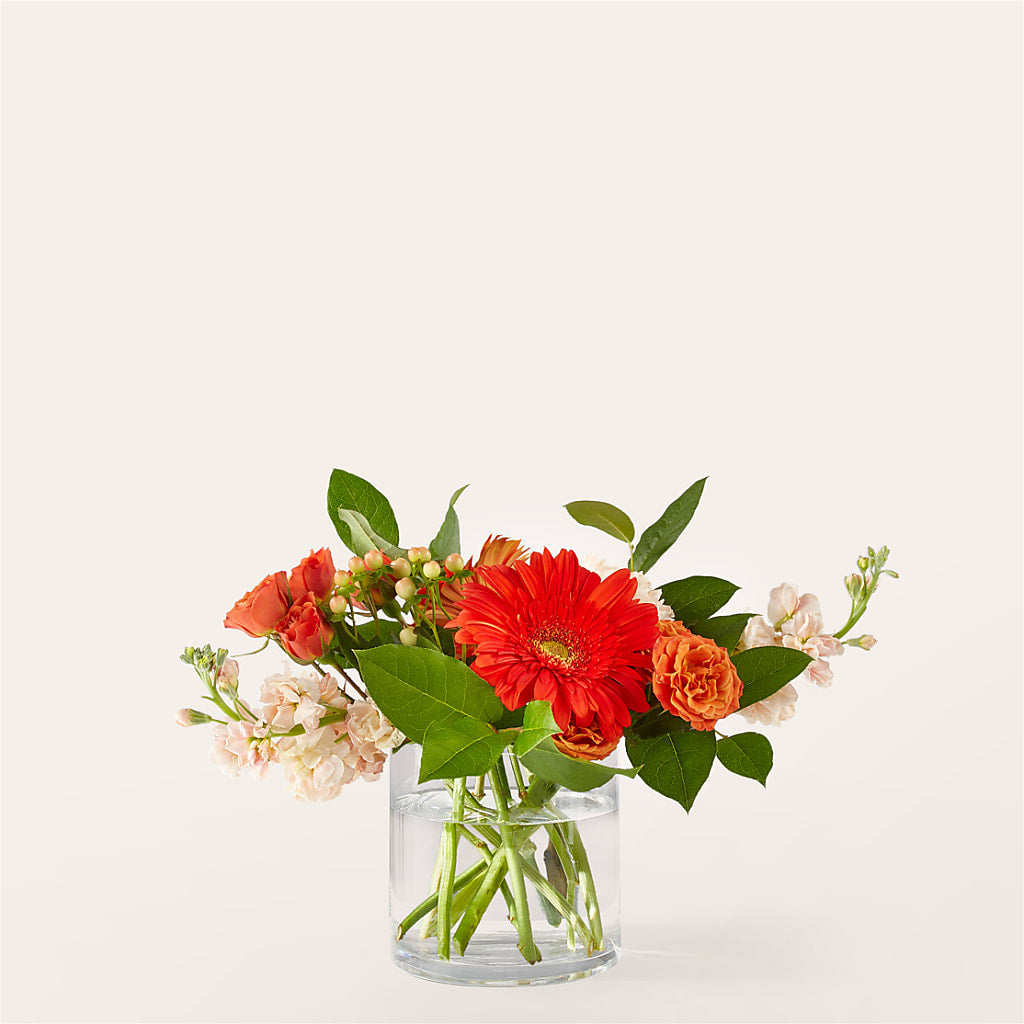 Paloma Please Bouquet – Country Cottage Floral Creations, Conroe TX