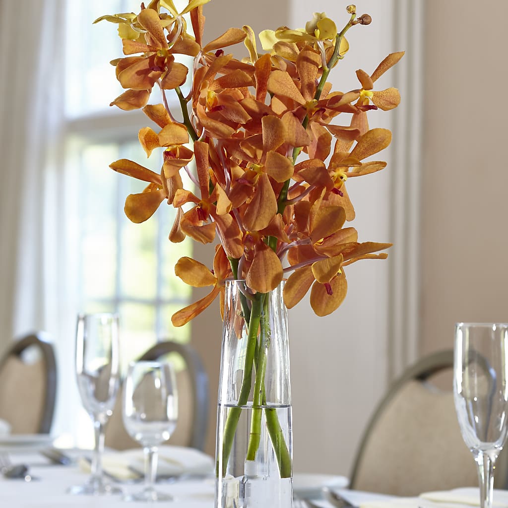 Orange Mokara Bud Vase – Country Cottage Floral Creations, Conroe TX