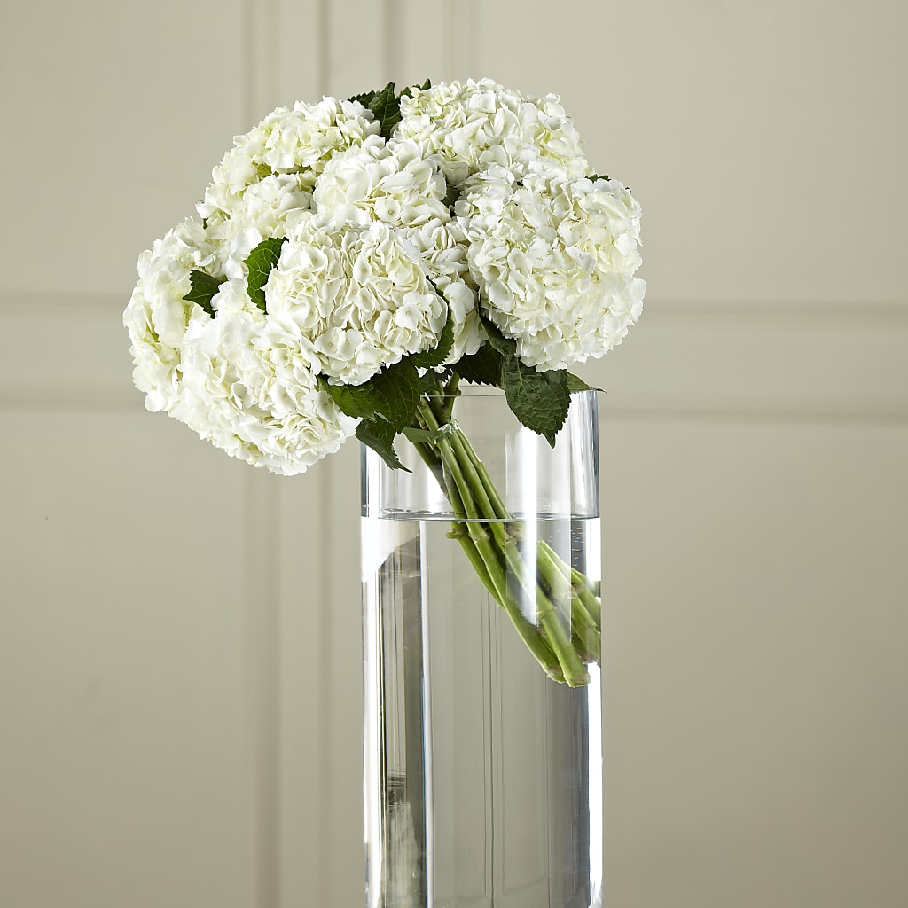 White Hydrangea Hand-Tied Bouquet – Country Cottage Floral Creations, Conroe TX