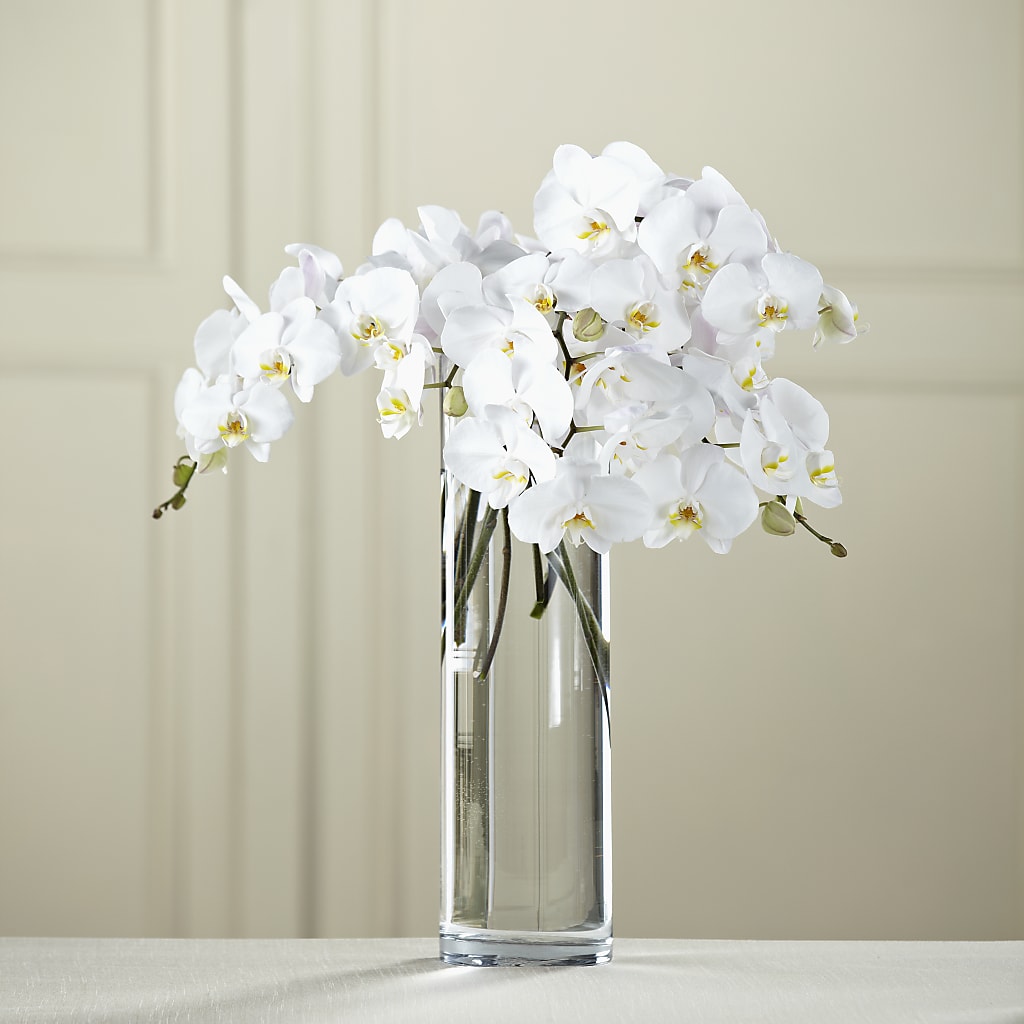 White Phalaenopsis Bouquet – Country Cottage Floral Creations, Conroe TX
