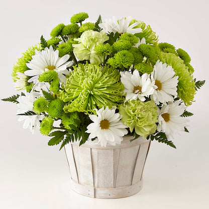 Lucky Charm Basket (Standard) –  Country Cottage Floral Creations, Conroe TX