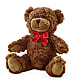 Adorable Plush Bear –  Country Cottage Floral Creations, Conroe TX