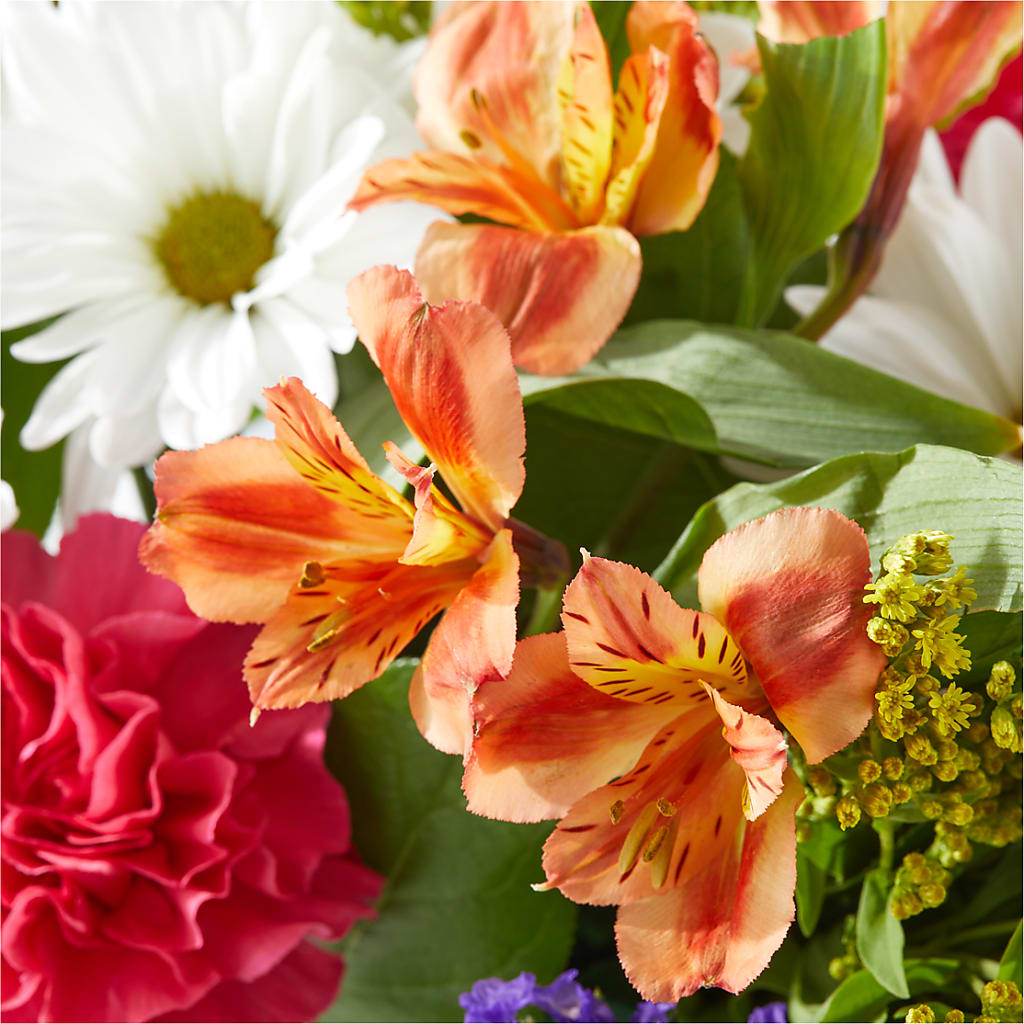 Oopsie Daisy Box Bouquet –  Country Cottage Floral Creations, Conroe TX
