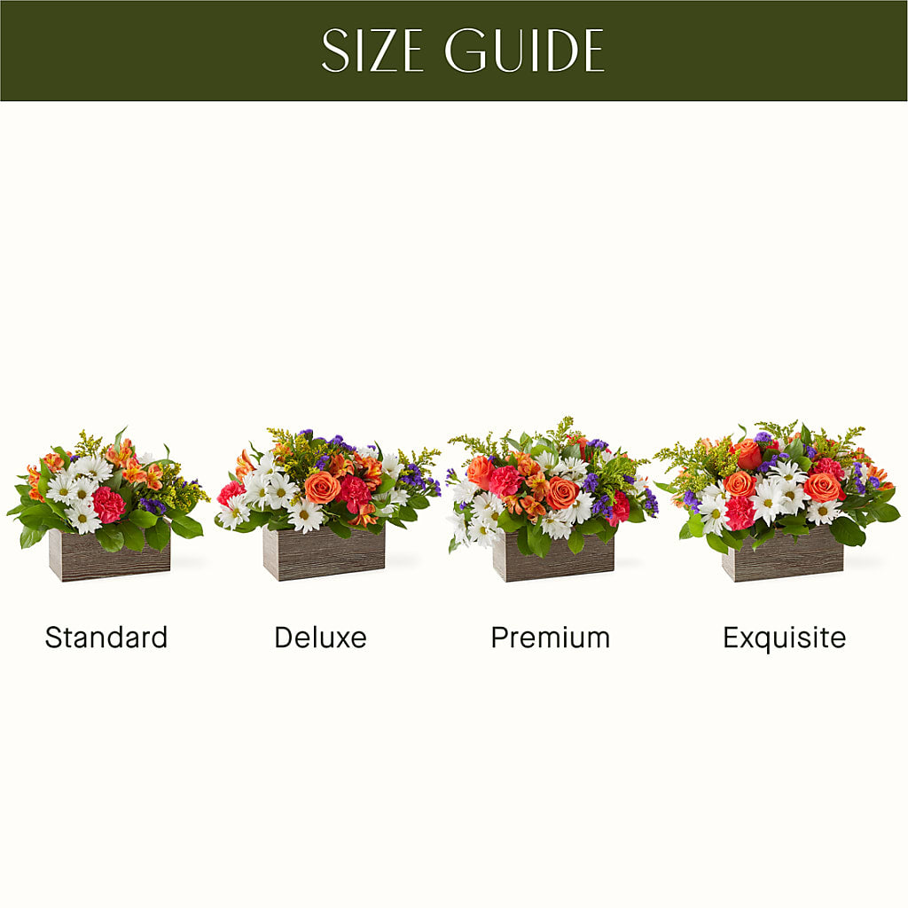 Oopsie Daisy Box Bouquet –  Country Cottage Floral Creations, Conroe TX