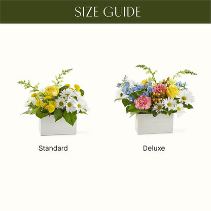 Sun Salutation Box Bouquet –  Country Cottage Floral Creations, Conroe TX