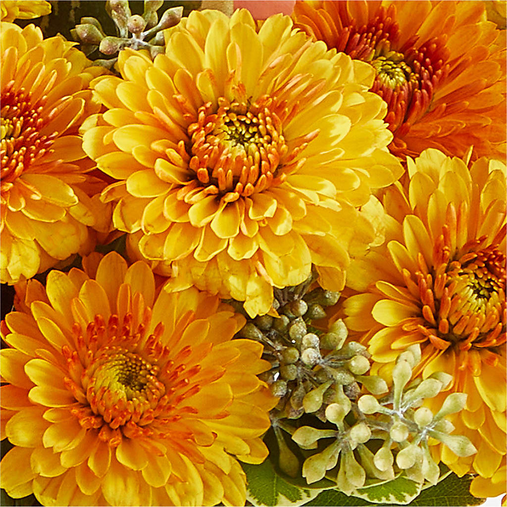 Peachy Pumpkin –  Country Cottage Floral Creations, Conroe TX