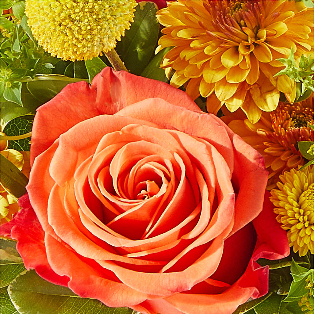 Gourdgeous Pumpkin –  Country Cottage Floral Creations, Conroe TX