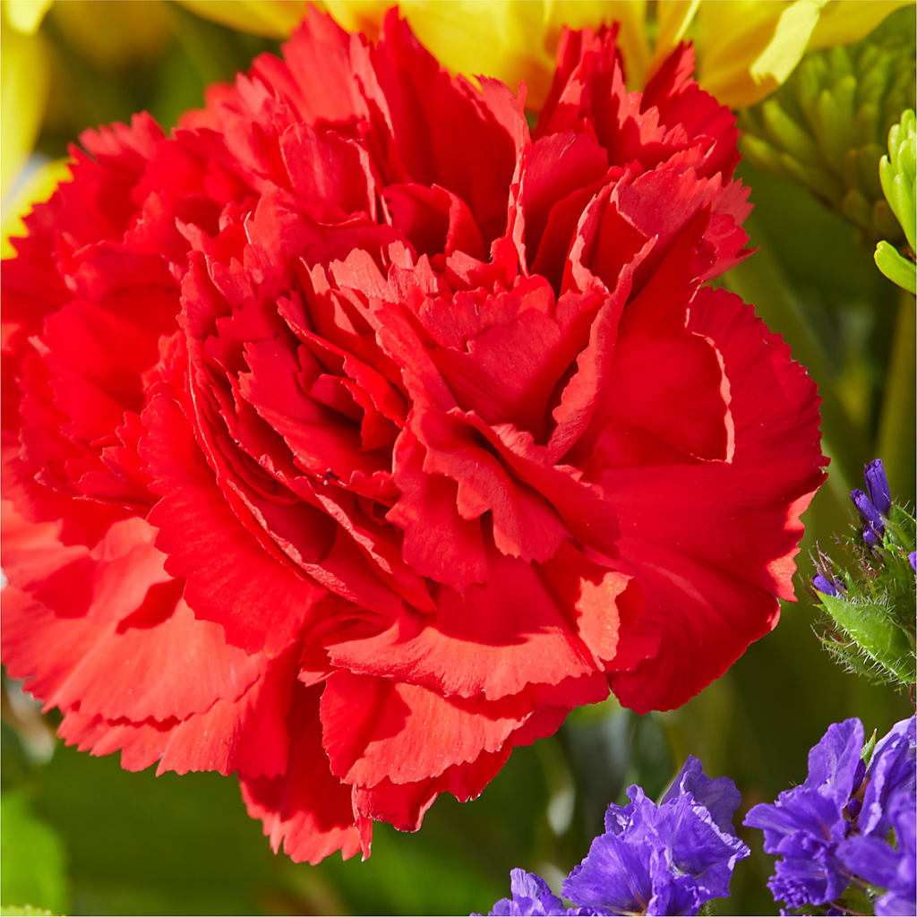 Brighter Days Bouquet –  Country Cottage Floral Creations, Conroe TX