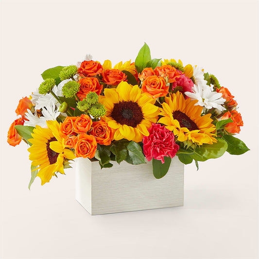 Sun-drenched Blooms Box Bouquet –  Country Cottage Floral Creations, Conroe TX