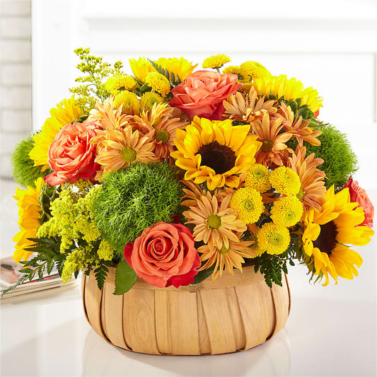 Harvest Sunflower Basket –  Country Cottage Floral Creations, Conroe TX