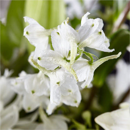 Classic Ivory – A Florist Original –  Country Cottage Floral Creations, Conroe TX