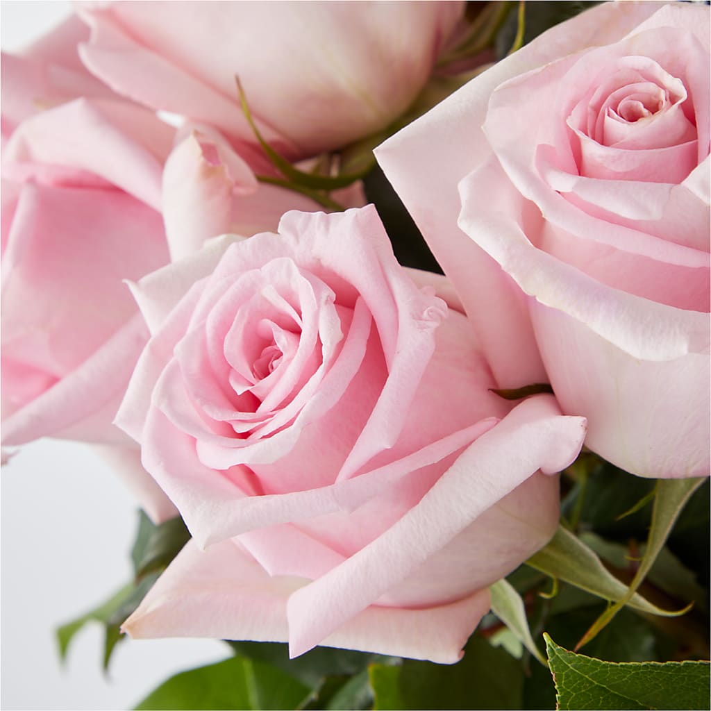 Picture Perfect Pink Rose Bouquet –  Country Cottage Floral Creations, Conroe TX