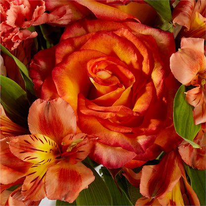 Apricot Glow Bouquet –  Country Cottage Floral Creations, Conroe TX