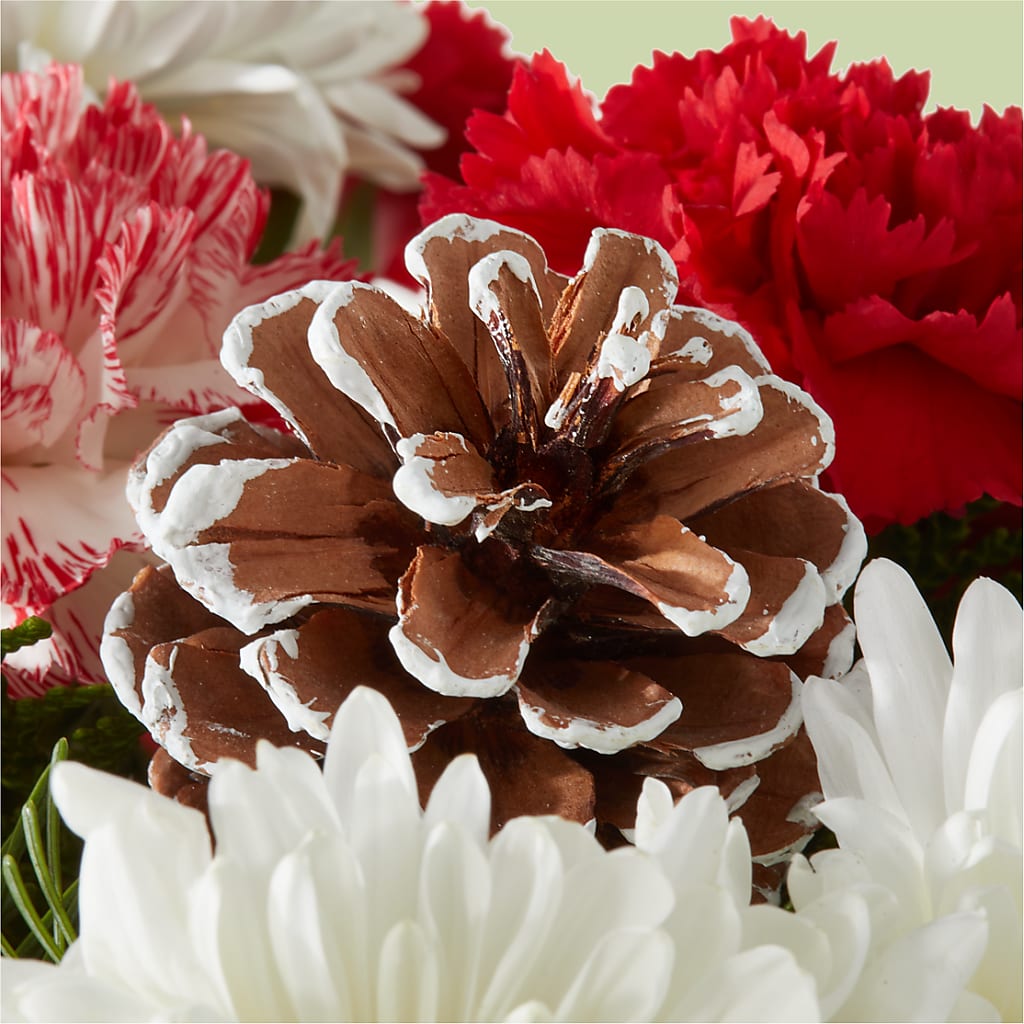 Candy Cane Lane Bouquet –  Country Cottage Floral Creations, Conroe TX
