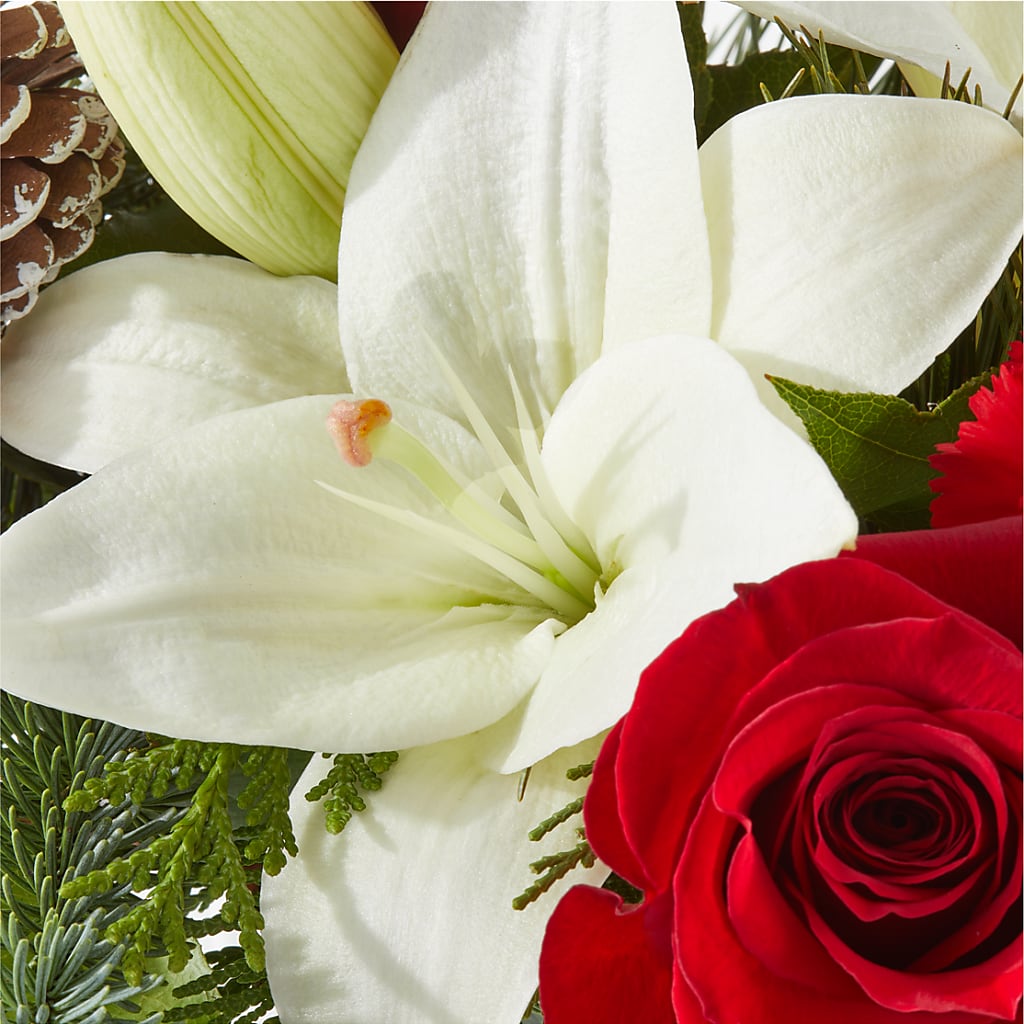 Oh So Jolly Bouquet –  Country Cottage Floral Creations, Conroe TX
