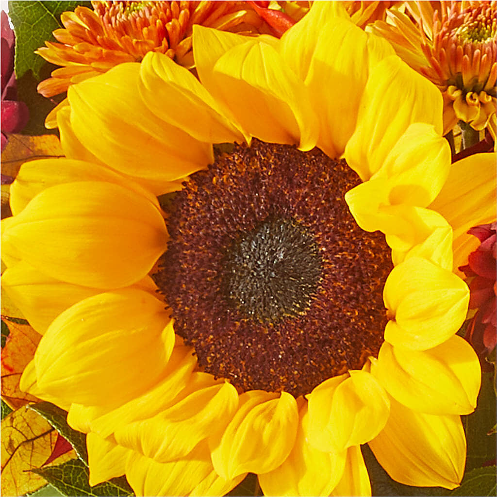 Sunny Side Bouquet –  Country Cottage Floral Creations, Conroe TX