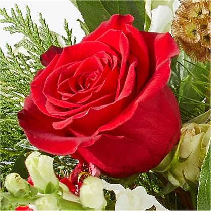 Deck the Halls Bouquet –  Country Cottage Floral Creations, Conroe TX