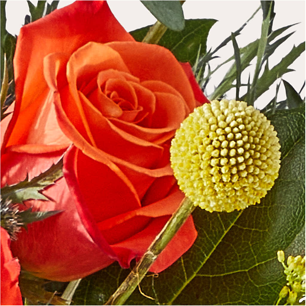 Disco Bouquet –  Country Cottage Floral Creations, Conroe TX