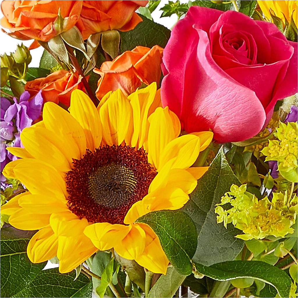 Vibrant Greetings Bouquet –  Country Cottage Floral Creations, Conroe TX