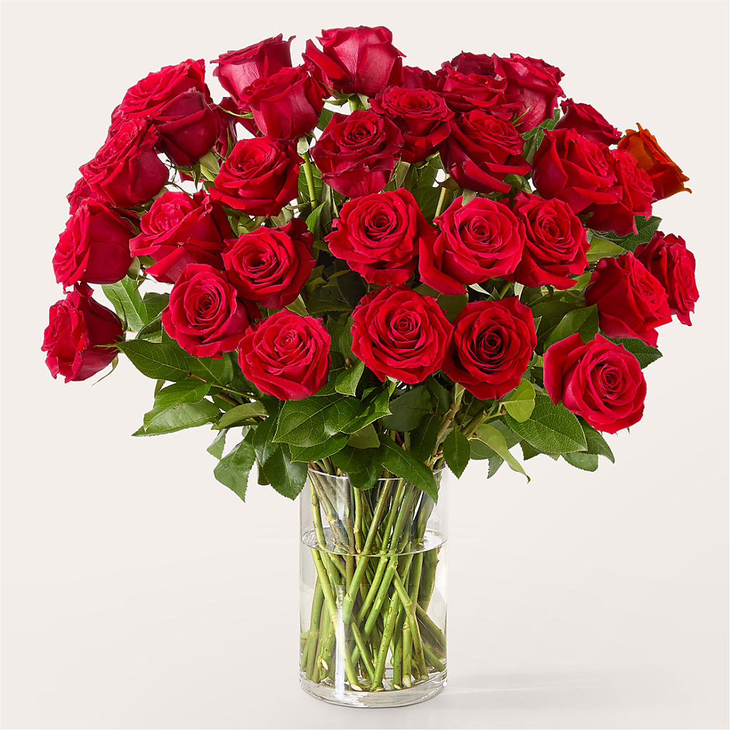 The One Red Rose Bouquet –  Country Cottage Floral Creations, Conroe TX